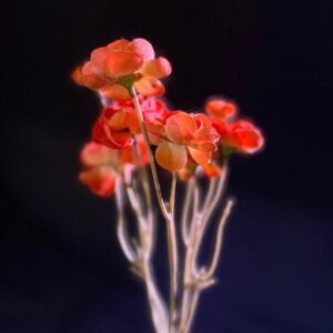 Red flower Artificial Flower
