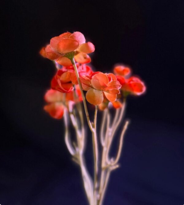 Artificial Flower