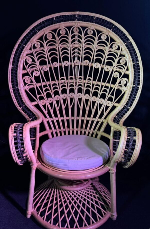 Traditional Traditional Chair
