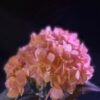Artificial Flowers