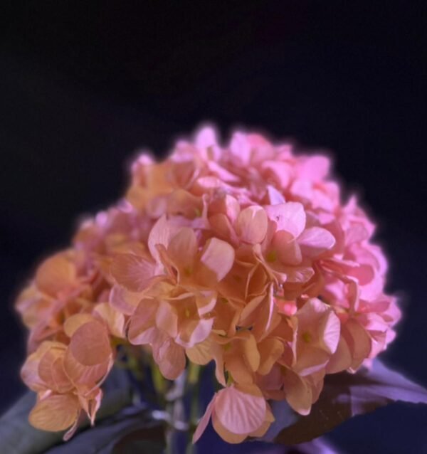 Artificial Flowers