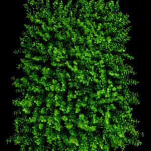 Green Decorations