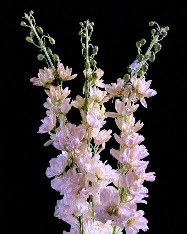 white fl Artificial Flower